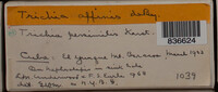 Image Associated With the Occurence